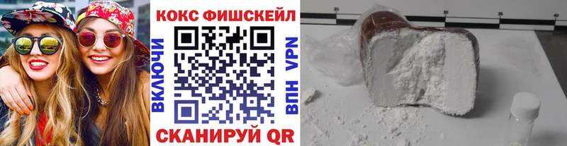 Купить закладки  Зея  Cocaine Эквадор 