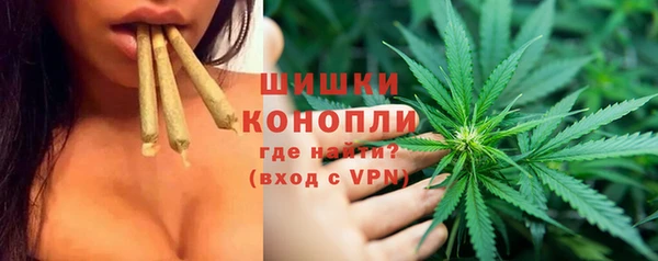 МДПВ Елизово