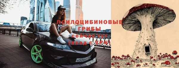МДПВ Елизово