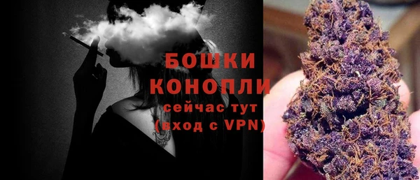 МДПВ Елизово