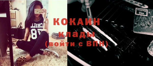 МДПВ Елизово