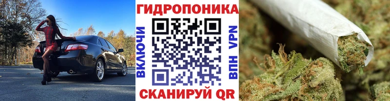 Канабис SATIVA & INDICA  Купить  Зея 